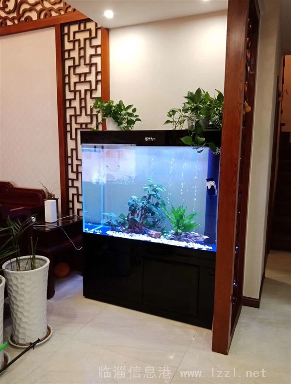 定制出售精美魚缸