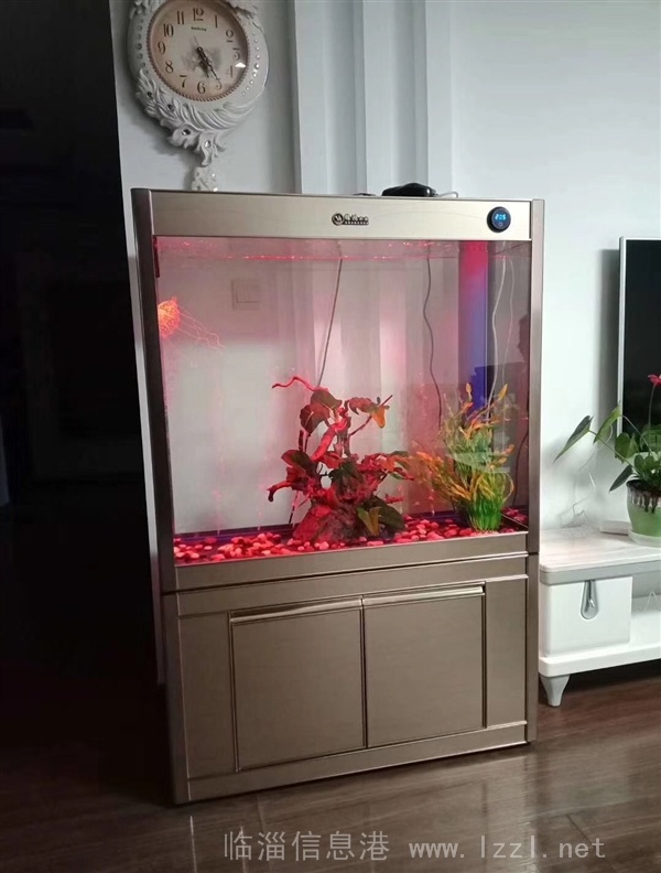 定制出售精美魚缸