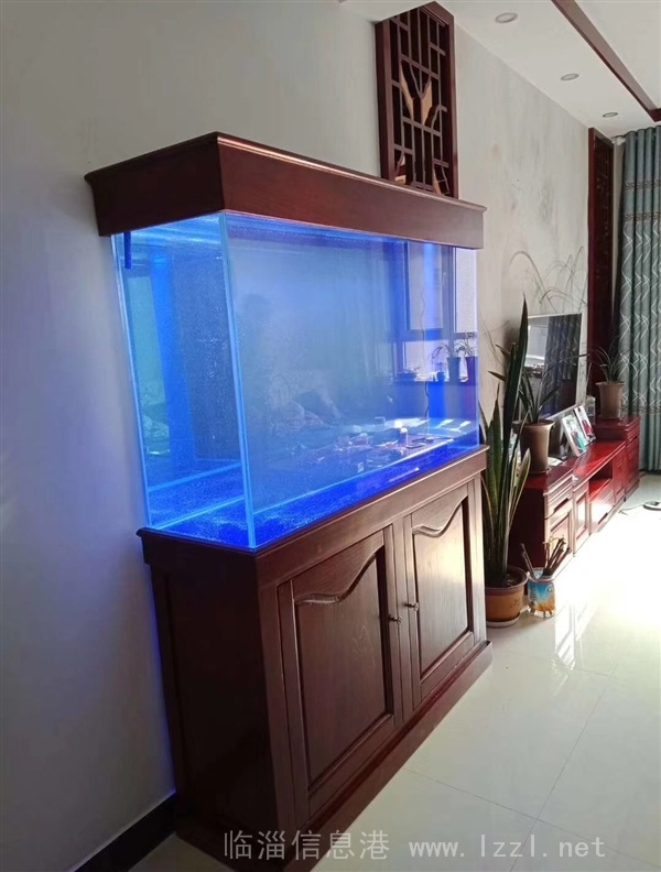 定制出售精美魚缸