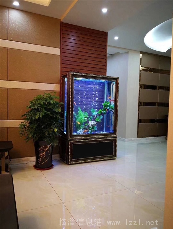 定制出售精美魚缸