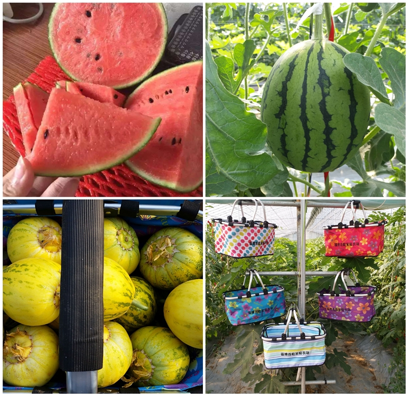 淄博市首屹家庭農場有限公司的圖標
