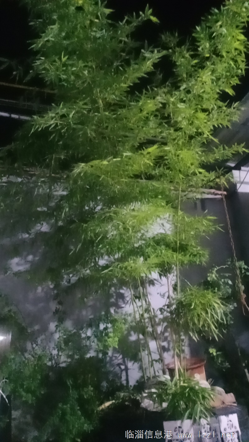 倉庫 廠房出租