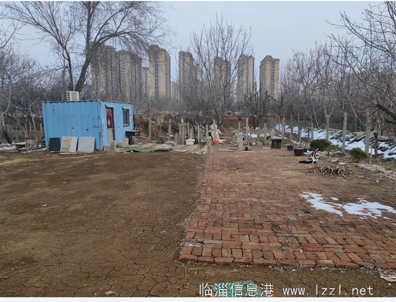 舊貨市場南單獨(dú)小院出租