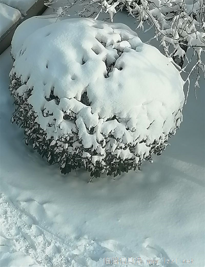 寶通新房出租